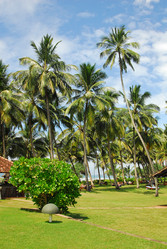 Similar image 146307