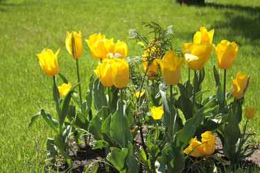 Similar image 146309