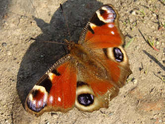 Similar image 146323