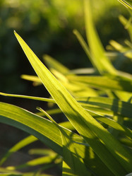 Similar image 146325