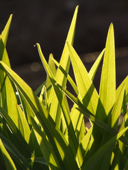 Similar image 146326