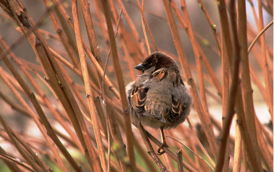 Similar image 146328