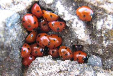 Similar image 146329