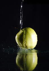 Similar image 146340