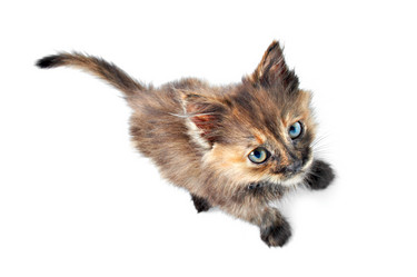 Similar image 146365