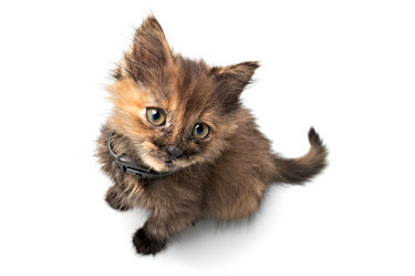 Similar image 146366