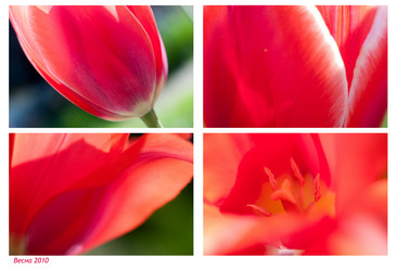 Similar image 146384