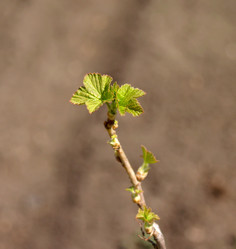 Similar image 146390