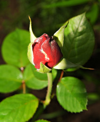 Similar image 146451