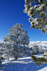 Similar image 146459