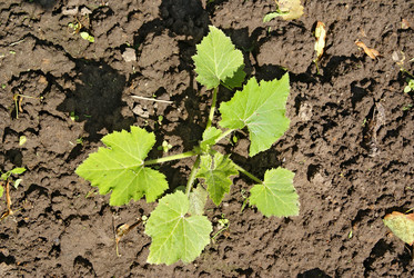 Similar image 146460