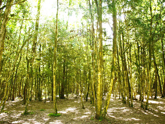 Similar image 146482