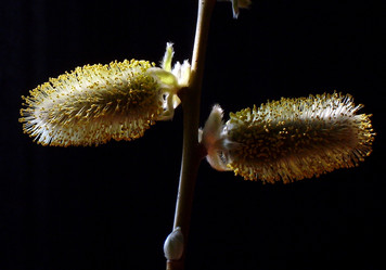 Similar image 146484