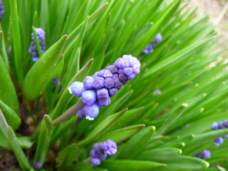 Similar image 146499