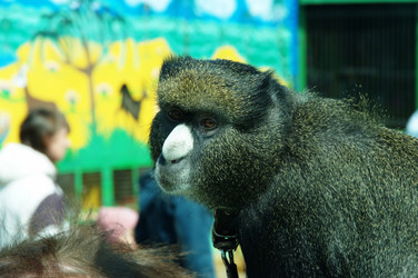 Similar image 146501