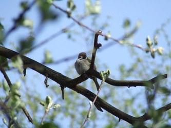 Similar image 146508