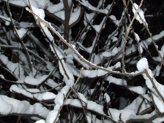 Similar image 146512