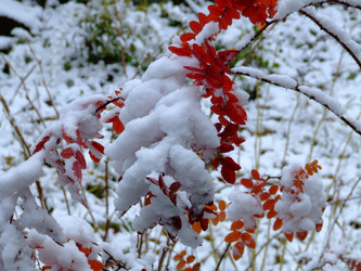 Similar image 146514