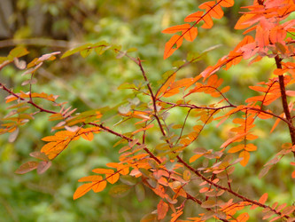 Similar image 146522