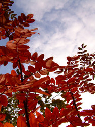 Similar image 146524