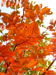 Similar image 146526