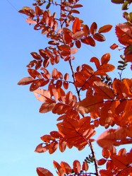 Similar image 146527