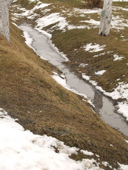 Similar image 146546