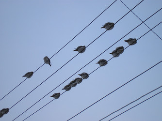 Similar image 146568