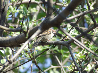 Similar image 146570