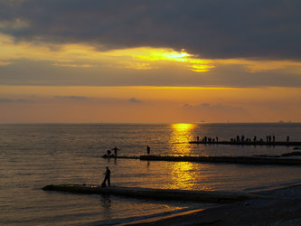 Similar image 146576