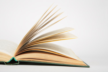 Similar image 146645