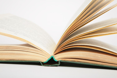 Similar image 146646