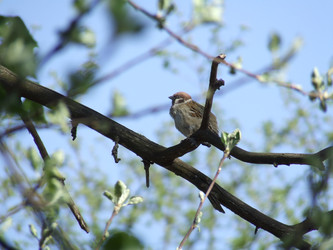 Similar image 146669