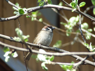 Similar image 146670