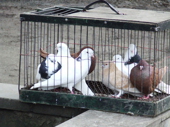 Similar image 146681