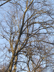 Similar image 146696