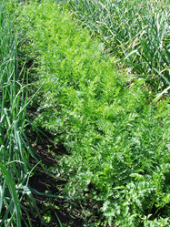 Similar image 146728