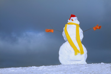 Similar image 146732