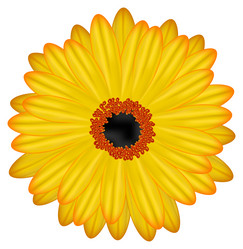 Similar image 146778