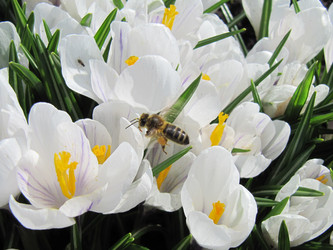 Similar image 146816