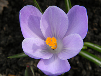 Similar image 146818