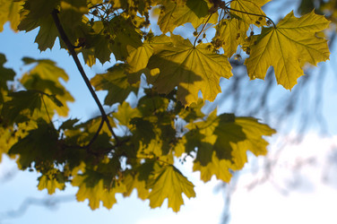 Similar image 146820