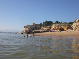 Similar image 146821