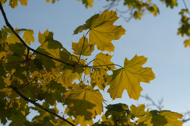 Similar image 146823