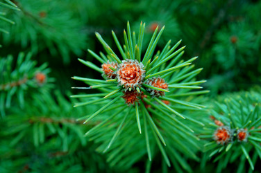 Similar image 146871