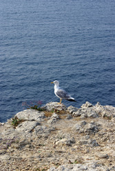 Similar image 146873