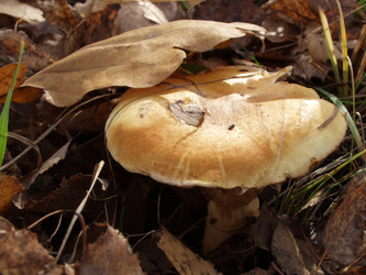 Similar image 146876