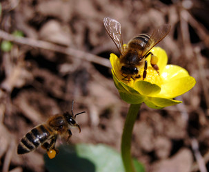 Similar image 146895