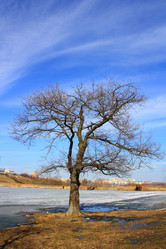 Similar image 146907