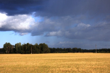 Similar image 146913